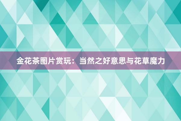 金花茶图片赏玩：当然之好意思与花草魔力